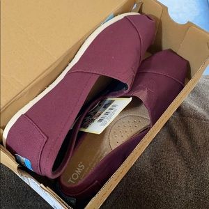 Brand new in box Toms